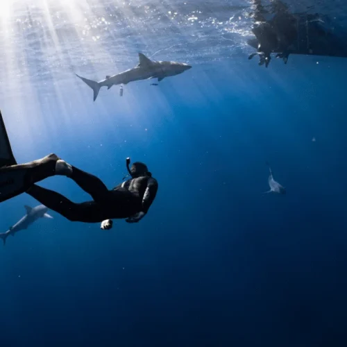 Advanced-Open-Water-Diver-Course-3-1024x683