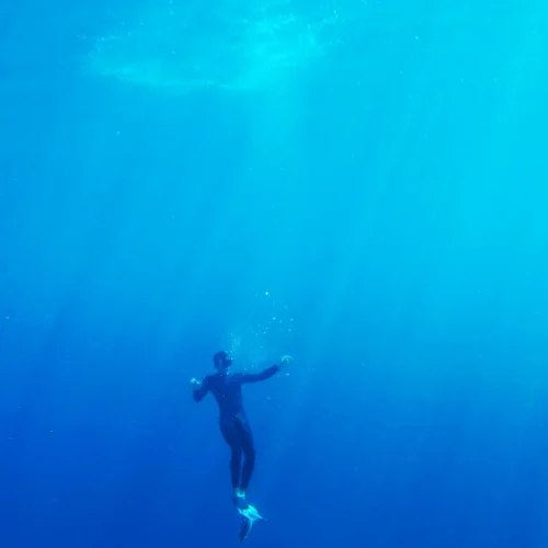 Deep-Diver-3-1024x683