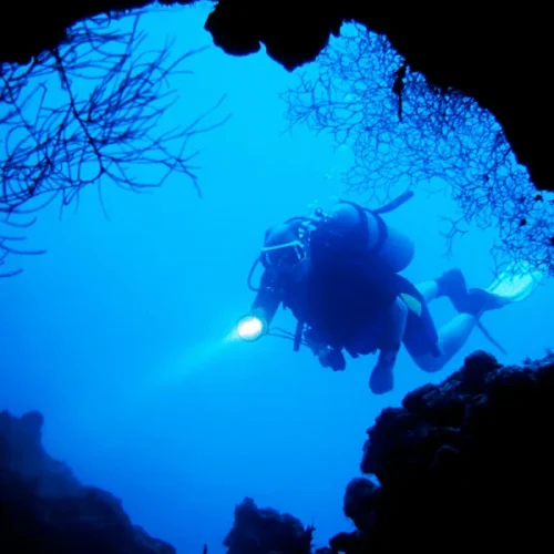 Deep-Diver-5-600x800