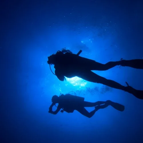 Night-Diving-Adventure-600x800