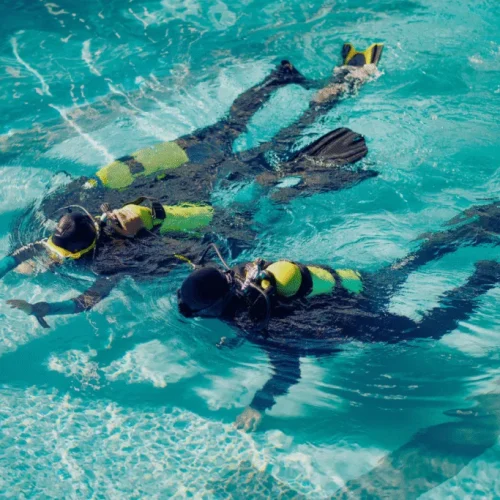 Open-Water-Diver-Course-PADI-1024x683