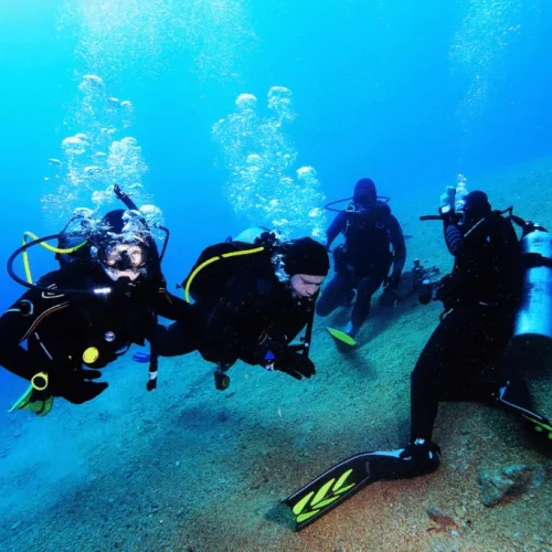 Open-Water-Diver-Course-PADI-5-1-1024x683