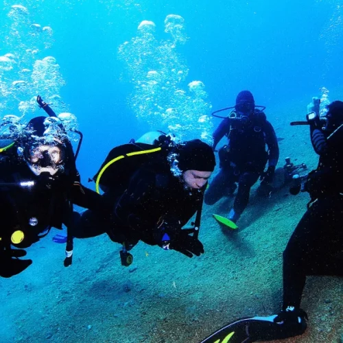 Open-Water-Diver-Course-PADI-5-600x800