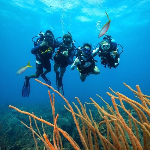 PADI Club Membership Benefits & Access