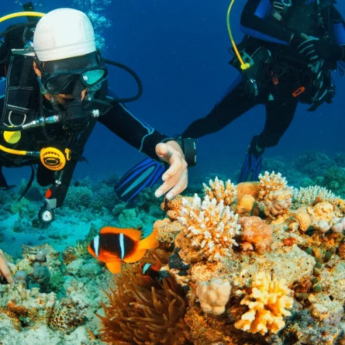 PADI-Discover-Scuba-Diving-3-600x800
