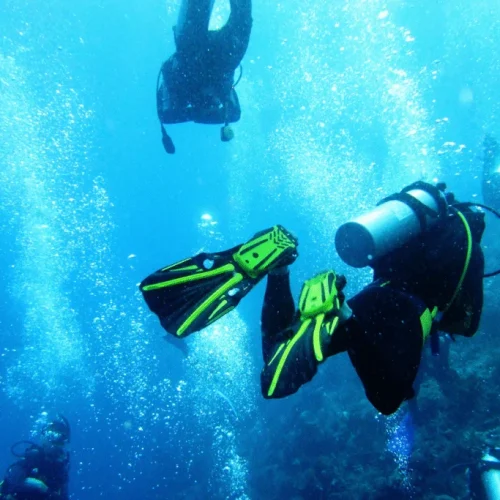 Peak-Performance-Buoyancy-6-1024x683