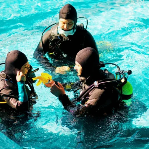 Rescue-Diver-4-600x800