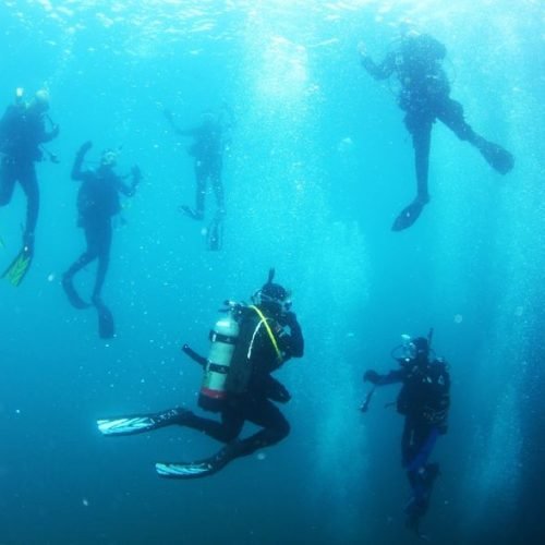 🐠🌊 Explore new depths with the PADI Open Water Diver Course! __Ready to dive in_ __#Scuba #ScubaDiving #Dive #Underwater #Adventure @paditv @divers_incorporated